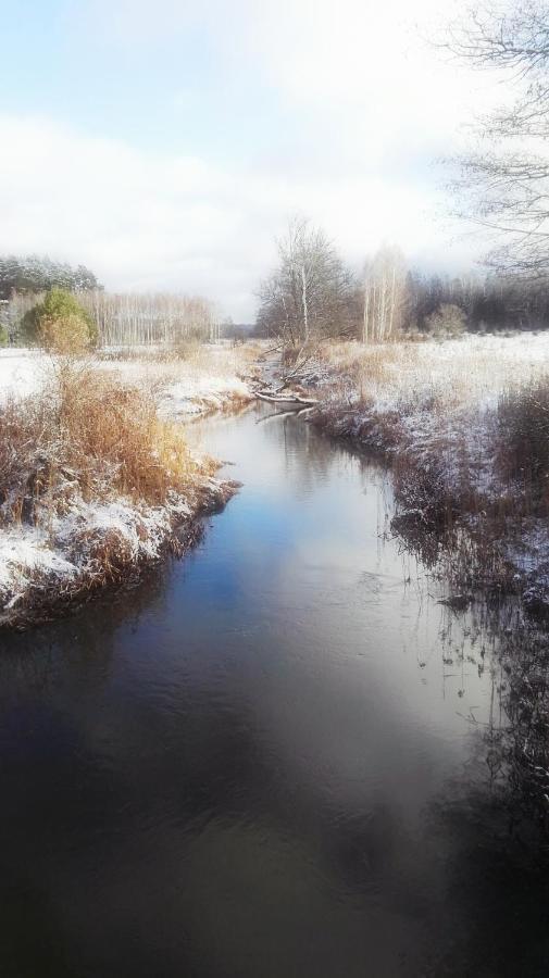 Siedlisko Gruszki Puszcza Bialowieska Narewka ภายนอก รูปภาพ